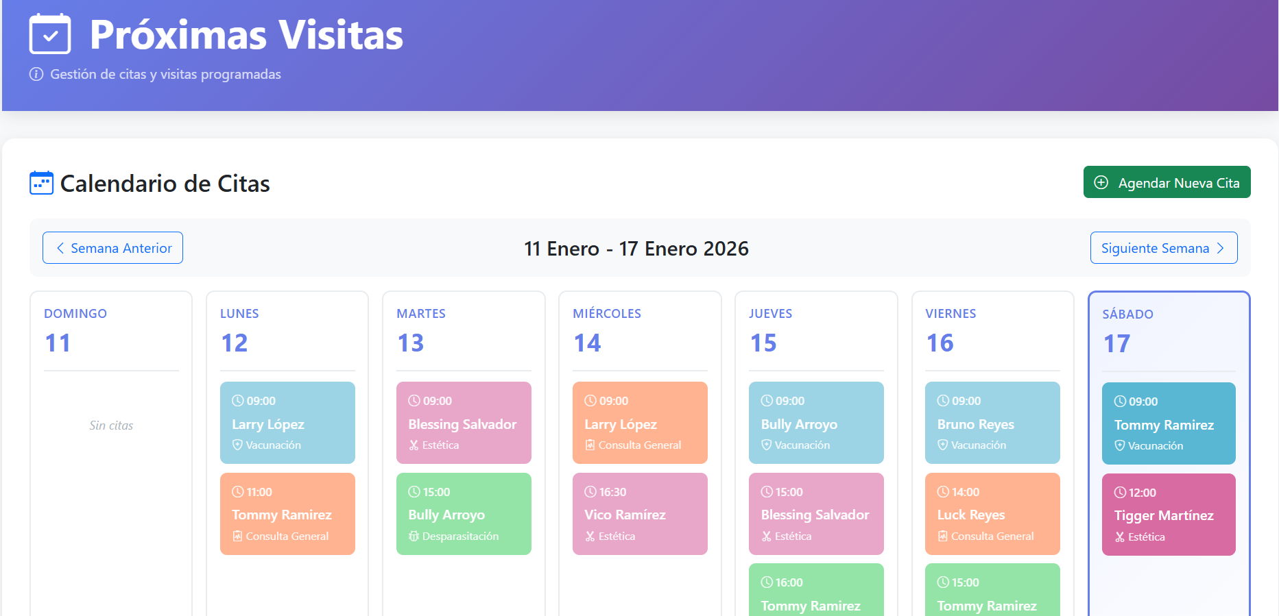 Calendario de visitas